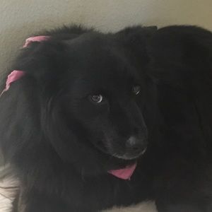 Meet your Posher, Kay